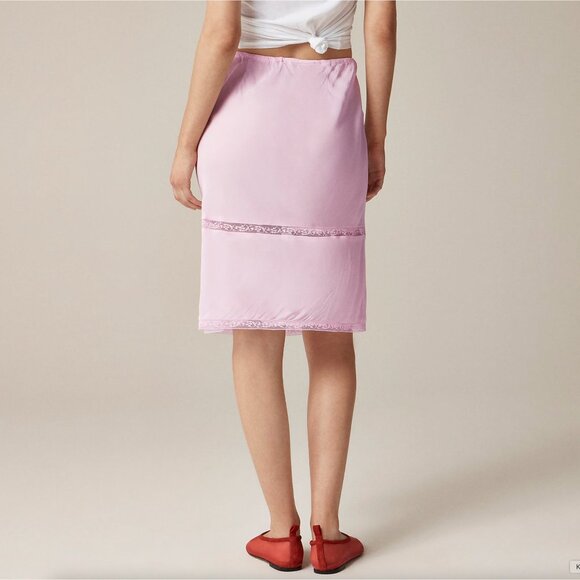Rouje X J.Crew Poème Porcelain Pink Lace Insert Skirt $128 EUC S - Picture 5 of 6